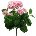 Floristik24 Geranium umělá květina Růžová muškátová keř umělá 7 květů V38cm