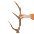 Dekorativní umělé parohy, rustikální dekorace chaty, 50 cm | Floristik24.cz