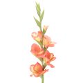 Floristik24 Umělý mečík s mnoha květy na kytici, 88 cm