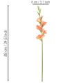 Umělý mečík s mnoha květy na kytici, 88 cm | Floristik24.cz