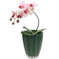 Floristik24 Skleněná váza &quot;Bloom&quot; tmavě zelená Ø14cm H17cm