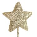 Floristik24 Třpytivá hvězda na drátku 4cm zlatá 60ks