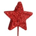 Floristik24 Třpytivá hvězda na drátě 4cm červená L22cm 60ks