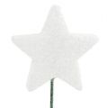 Floristik24 Třpytivá hvězda na drátu 5cm bílá L23cm 48ks