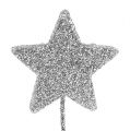 Floristik24 Třpytivá hvězda stříbrná 4cm na drátku 60ks