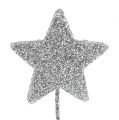 Floristik24 Třpytivá hvězda stříbrná 5cm na drátě L22cm 48ks