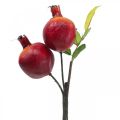 Floristik24 Dekorativní větvička dekorace granátové jablko, dekorativní ovoce, dekorativní granátové jablko 39cm
