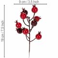 Umělá větvička granátového jablka s rozvětvenými stonky jako dekorace vázy, 19 cm, 4 kusy | Floristik24.cz