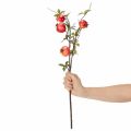 Umělá větvička granátového jablka jako ovocná větev na dekoraci stolu, 68 cm | Floristik24.cz
