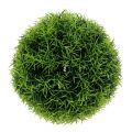 Floristik24 Koule z trávy dekorativní koule umělá zelená Ø18cm 1ks