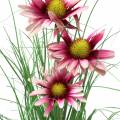 Floristik24 Umělá tráva s echinaceou v růžovém květináči 44 cm