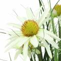 Floristik24 Umělá tráva s Echinaceou v bílém květináči 52cm