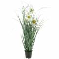 Floristik24 Umělá tráva s Echinaceou v bílém květináči 56cm
