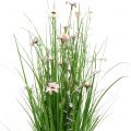Floristik24 Trs trávy s růžovými květy 70cm