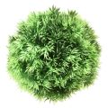 Floristik24 Travní koule dekorativní koule umělé rostliny zelená Ø15cm 1ks