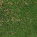 Floristik24 Travní rohož s umělým trávníkem 30 cm x 166 cm