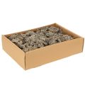 Dekorativní mech, šedý mech na tvoření, 500g | Floristik24.cz