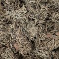 Dekorativní mech, šedý mech na tvoření, 500g | Floristik24.cz