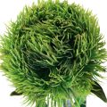 Floristik24 Zelený karafiát vousatý umělá květina jako ze zahrady 54cm