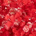 Sušený svazek gypsofily (dětské dychové větvičky) 75 cm 100 g | Floristik24.cz