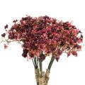 Floristik24 Gypsophila umělé červené umělé květiny podzimní 29,5cm 18ks