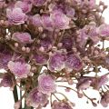 Floristik24 Gypsophila umělá fialka podzimní dekorace 29,5cm 18ks