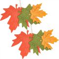 Floristik24 Podzimní deko přívěsek dřevo listy javorový list 22cm 4ks