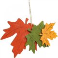 Floristik24 Podzimní deko přívěsek dřevo listy javorový list 22cm 4ks