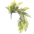 Floristik24 Umělá kapradina, jemná, do vázy, 80 cm