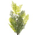 Umělá kapradina, jemná, do vázy, 80 cm | Floristik24.cz