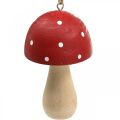 Floristik24 Muchomůrka dekorativní houby dřevěná houba na zavěšení V8,5cm 6ks