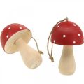 Floristik24 Muchomůrka dekorativní houby dřevěná houba na zavěšení V8,5cm 6ks