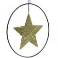 Floristik24 Vánoční dekorace přívěsek hvězda zlatá černá 12,5cm 3ks