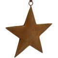 Floristik24 Vánoční přívěsek hvězda metal star rust look H13,5cm