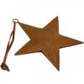 Floristik24 Vánoční přívěsek hvězda metal star rust look H13,5cm