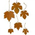 Floristik24 Podzimní dekorace listí kovový vzhled rzi javorový list 6 kusů