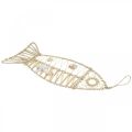 Floristik24 Dekorace námořní rybka s proutěným výpletem a mušlemi, dekorace věšák ve tvaru ryby příroda 38cm