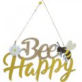 Floristik24 Dekorační cedule včelka „Bee Happy“ letní dekorace dřevo 31×18cm 2ks