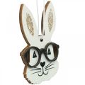 Floristik24 Dřevěný přívěsek králík s brýlemi mrkvový třpyt 4×7,5cm 9ks
