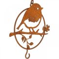 Floristik24 Kovový ptáček na zavěšení, krmné místo, ptáček s patinou háčku 11,5×13cm