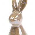 Floristik24 Ozdobný králíček hnědý perleť 15,5cm 2ks