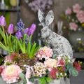 Floristik24 Dekorativní zahradní dekorace králík sedící kamenný vzhled V31cm