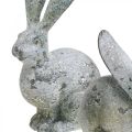 Floristik24 Dekorativní králík, zahradní figurka v betonovém vzhledu, shabby chic, velikonoční dekorace se stříbrnými akcenty V21/14cm sada 2 ks