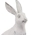 Floristik24 Sedící králík dekorativní králík umělý kámen bílá šedá V21,5cm