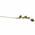 Oříšková větev zelená / hnědá 84cm | Floristik24.cz