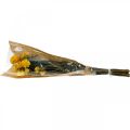 Floristik24 Slámově žluté sušené sušené květiny dekorativní kytice 75g
