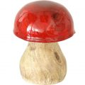 Floristik24 Podzimní dekorace deko houby ze dřeva Červené dřevěné houby V5-7cm 6 kusů