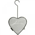 Floristik24 Kovové srdce, drátěné srdce, košík srdce Hnědá V16,5cm L31cm