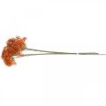 Floristik24 Bezinka Pomerančová větev umělá květina 52cm 4ks