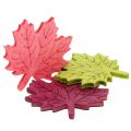 Floristik24 Dřevo javorového listu pro rozptyl různých barev 4cm 72ks
